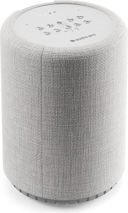 Audio Pro G10 - Speaker (Bluetooth, WLAN)