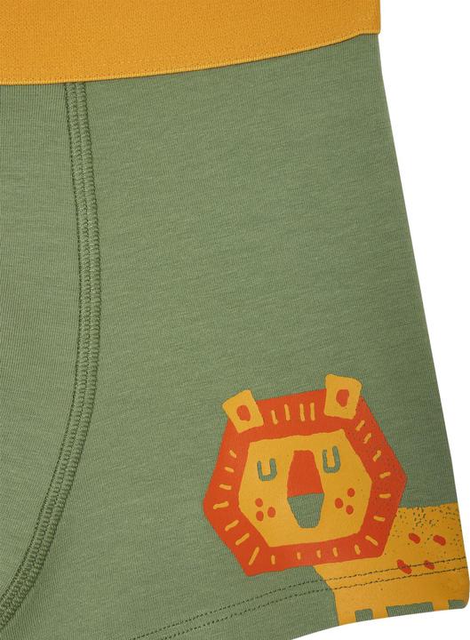 Immagine prodotto Vertbaudet Bio-Kollektion: 5er-Pack Jungen Stretch-Boxershorts Dschungel (128, Confezione da 5 pezzi)