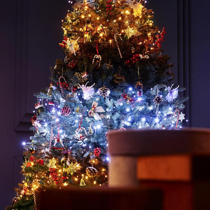 Image du produit Twinkly Chaîne (20 m)
