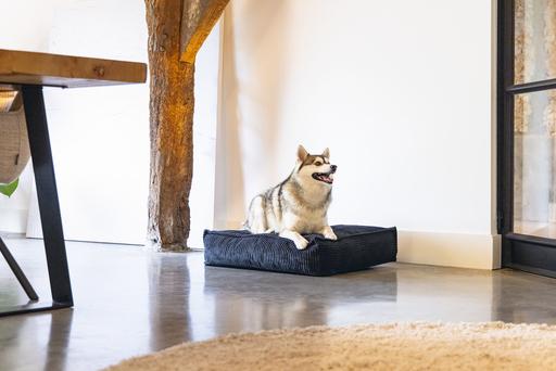 Actual product image Designed by Lotte Ribbed Cushion (Dog)