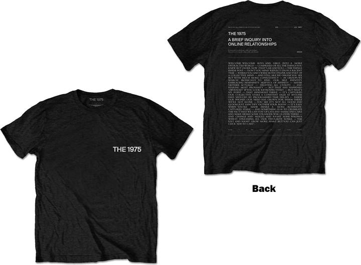 The 1975 A Brief Inquiry