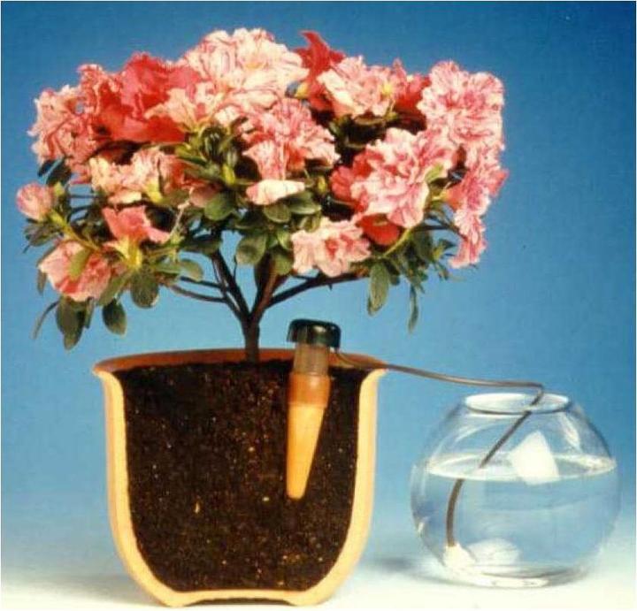 Produktbild Blumat Endtropfer XL (Tonkegel)