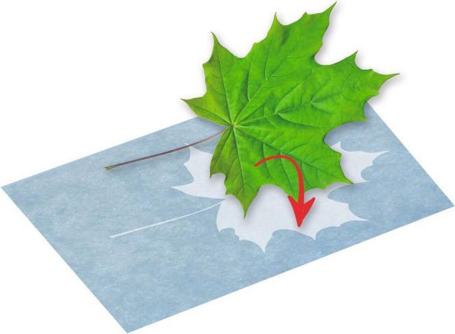Produktbild Sonnendruck-Papier