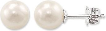 Actual product image Thomas Sabo Pearl Earrings Large (Silver)