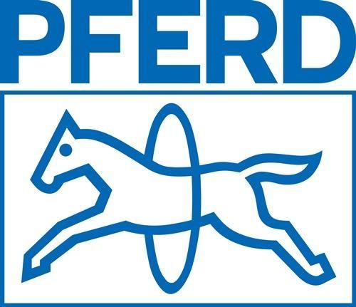 Actual product image Pferd Turning stone SE CU R5V L120xW50xH30mm 30/60 (P30)