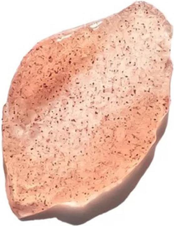 Image du produit Multi-Biotics Hydrating and Balancing Body Scrub (150 ml)
