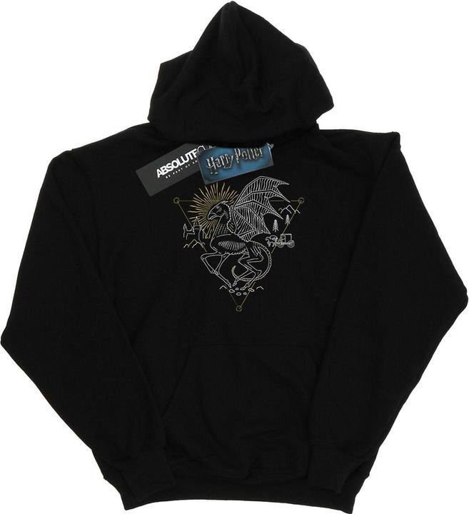 Actual product image Mens Thestral Line Art Hoodie (XXL)