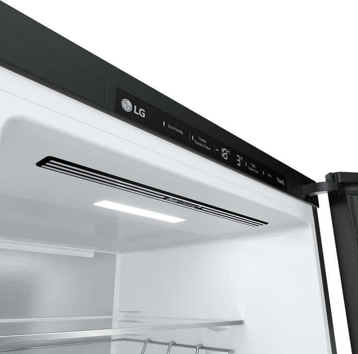 Actual product image LG GBB72TW9DQ (384 l)