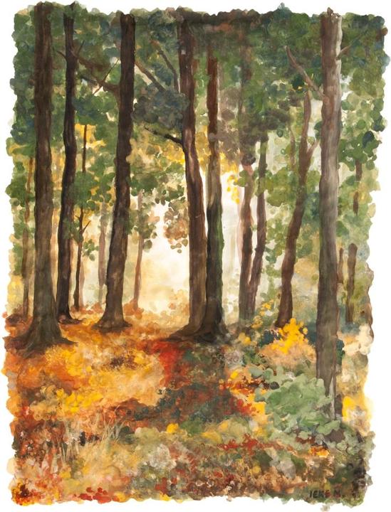 Produktbild Natural Earth Paint Kinderfarbe (Orange, Blau, Rot, Grün, Braun, Gelb, 2000 ml)