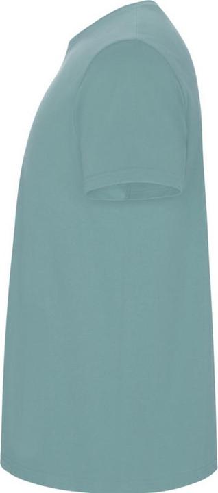 Image du produit Alpinia - T-shirt STAFFORD - Homme (3XL)