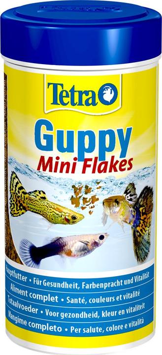Actual product image Tetra Guppyfood (Guppies, 250 ml)