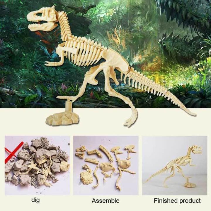 Actual product image Cover-Discount Excavation Set Dinosaur Tyrannosaurus