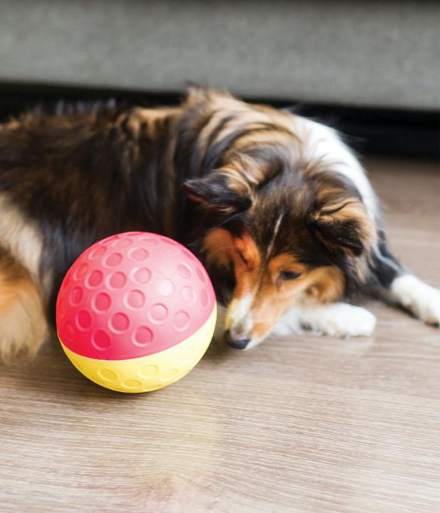 Produktbild Nina Ottosson Treat Tumble smallLevel 1 (Intelligenzspielzeug Hund)