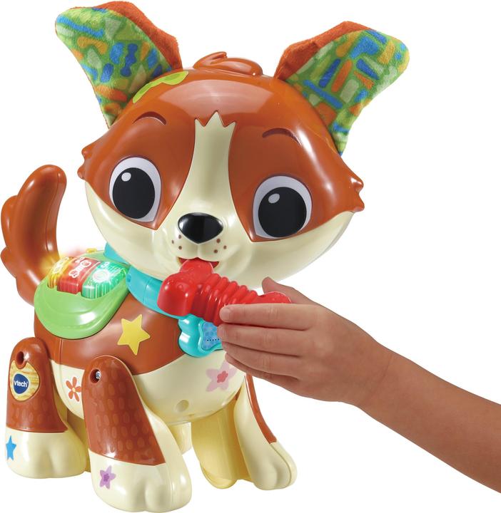 Produktbild VTech 80-552564 Lauf-mit-Mir-Hündchen Babyspielzeug, bunt
