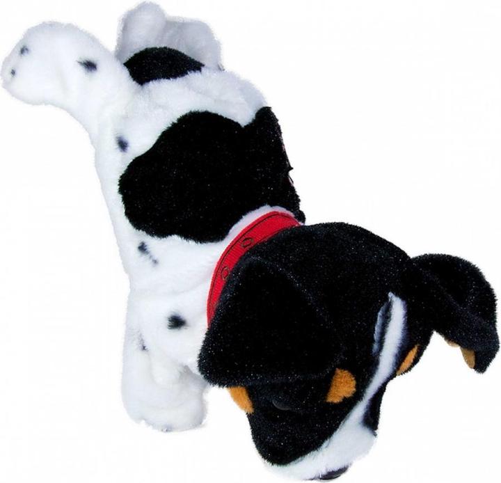 MADE Interactive mascot -Figo dog reacts to the Labrador headquarters