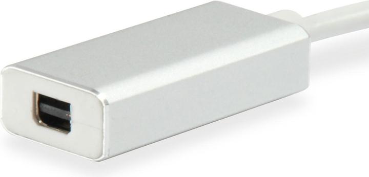 Immagine prodotto equip Mini DisplayPort — USB Typ C (USB-C, 15 cm)