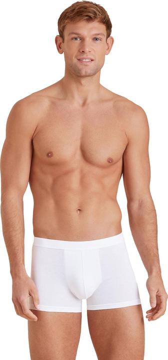 Actual product image Calida Evolution (L, Single pack)