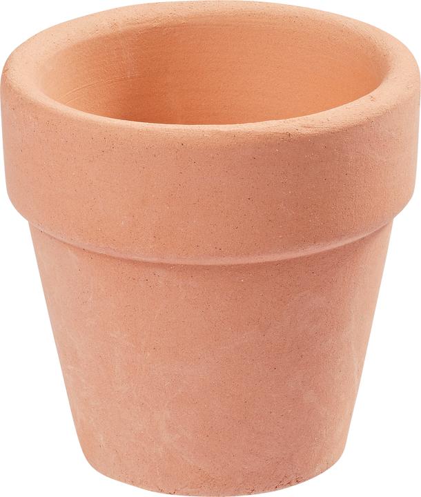 Image du produit Hobby Fun Mini ustensiles Pot de fleur terre cuite