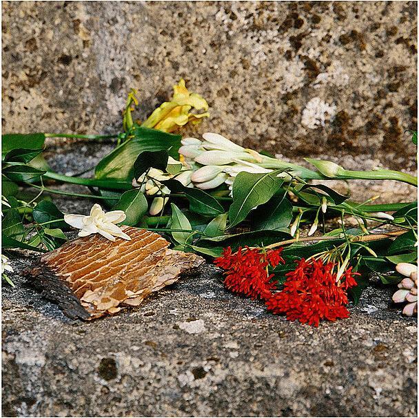 Image du produit Gucci Profumo di Fiori Eau de Parfum (Eau de parfum, 30 ml)