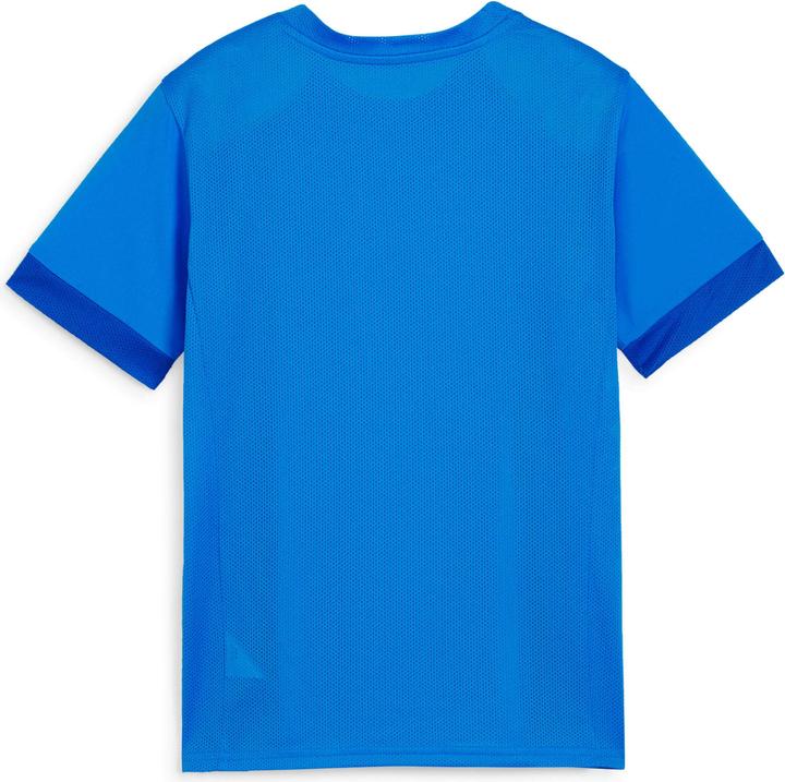 Actual product image Puma teamGOAL Matchday Jersey jr (152)
