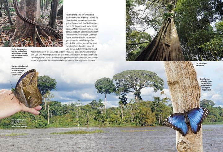 Immagine prodotto Entdecke den Amazonas-Regenwald (Tedesco, Lothar Prof. Dr Staeck, 2016)