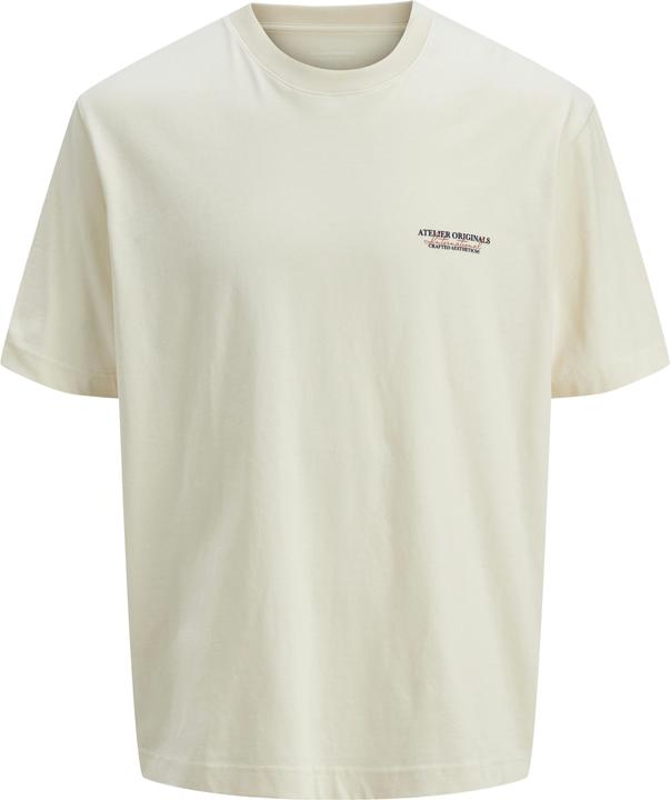 Jack & Jones Jorislington Type Tee Ss Crew Neck Pls
