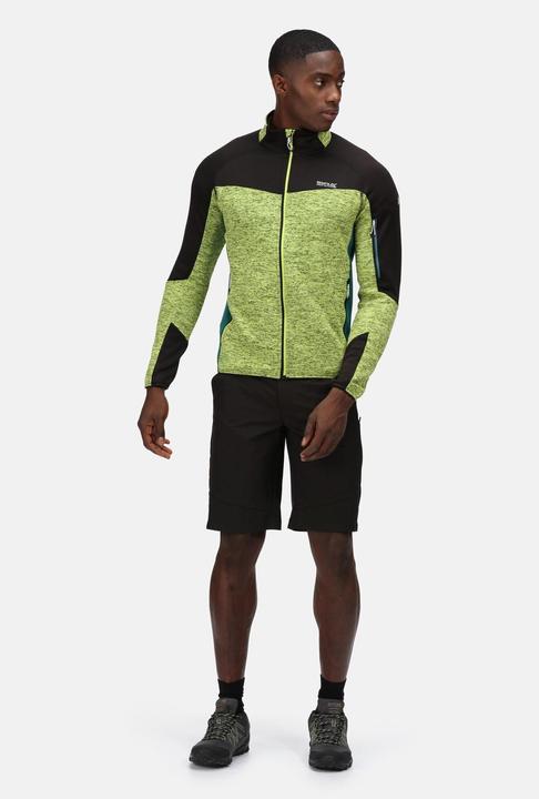 Actual product image Regatta Highton Shorts Hiking (48 D)