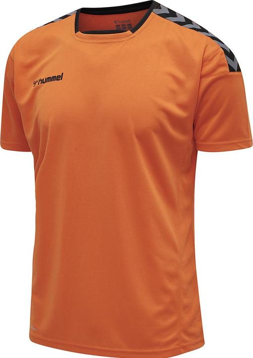 hummel Authentic Poly Jersey S/S (S)