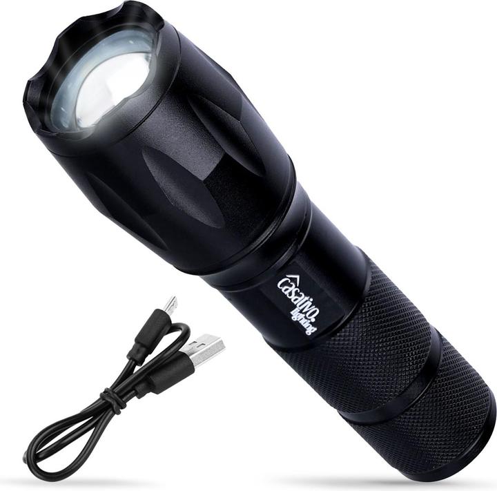 Image du produit Casativo Lampe de poche LED 2en1 & Powerbank, 260 lm, batterie Li-Ion, IP44 (13.30 cm, 260 lm)