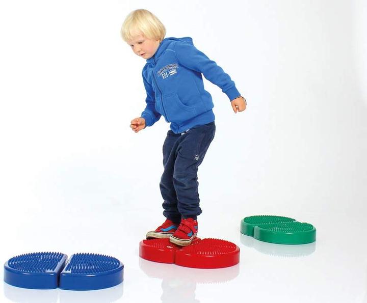 Actual product image Togu Aero-Step