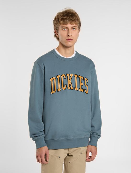 Immagine prodotto Dickies Aitkin Sweatshirt Stormy Weather (L)
