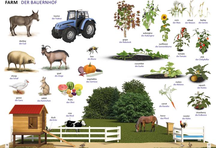 Produktbild Bildwörterbuch für Kinder und Eltern En (Deutsch, Englisch, Igor Jourist, 2024)