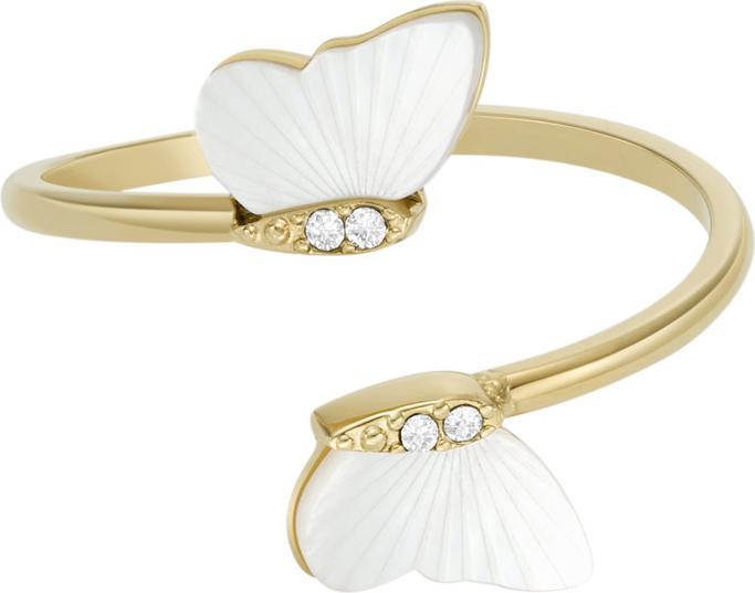 Produktbild Fossil Radiant Wings (55)