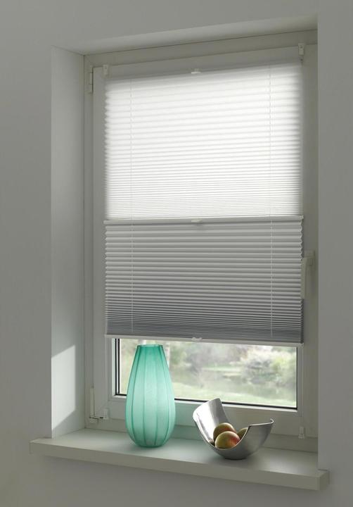 Image du produit Gardinia Easyfix plissé jour + nuit (80 x 130 cm)