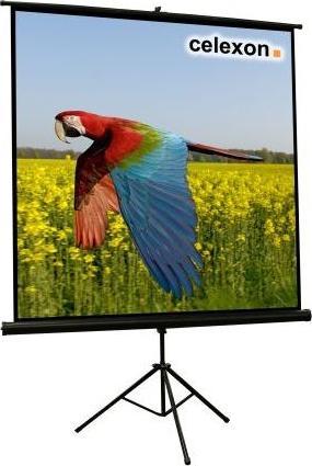 Immagine prodotto Celexon Treppiede Eco, schermo, 1:1 (86.22", 1:1)