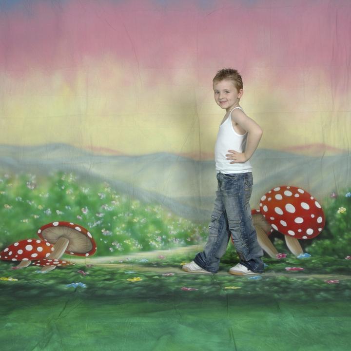 Walimex pro pro Motiv-Stoffhintergrund 'Alice' (300 cm, 600 cm)