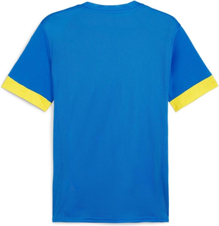Actual product image Puma teamGOAL Matchday Jersey (M)