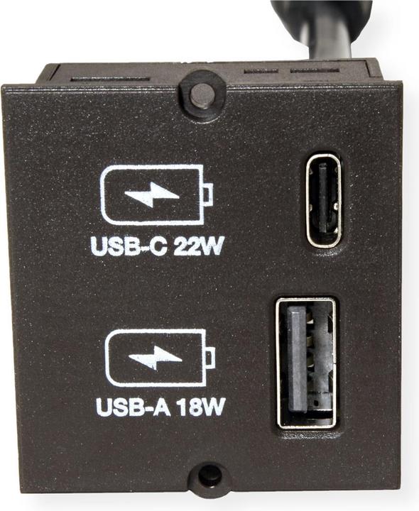 Image du produit Bachmann Custom Modul Ladegerät USB-A 18W, USB-C 22W (22 W)
