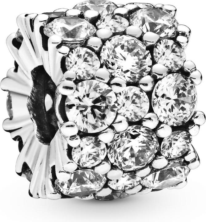 Actual product image Pandora Charm (Sterling silver)