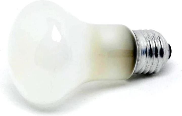 Actual product image Elinchrom Modeling lamp E23002