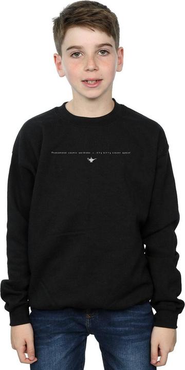 Image du produit Disney - Sweat ALADDIN COSMIC WARDROBE - Garçon (116)