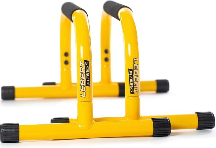 Lebert Fitness Parallettes