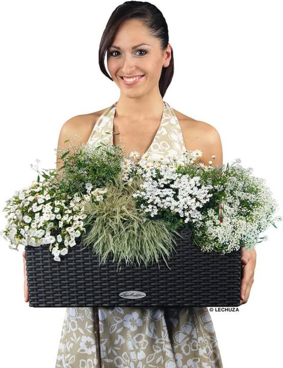 Actual product image Lechuza Balconera Cottage (19 cm)