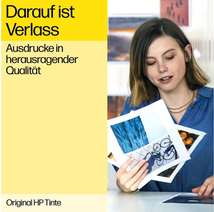 Image du produit HP 81 et nettoyeur (C)