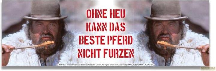 Image du produit Blechwaren Fabrik Braunschweig Tasse en émail Bud Spencer Sans foin, le meilleur cheval ne peut... (500 ml, 1 x)