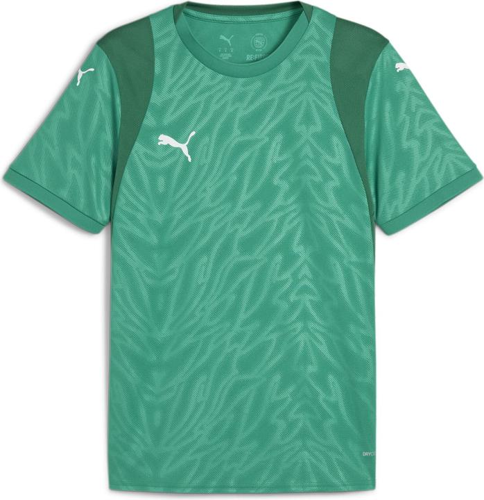 Produktbild Puma teamCUP Jersey (L)