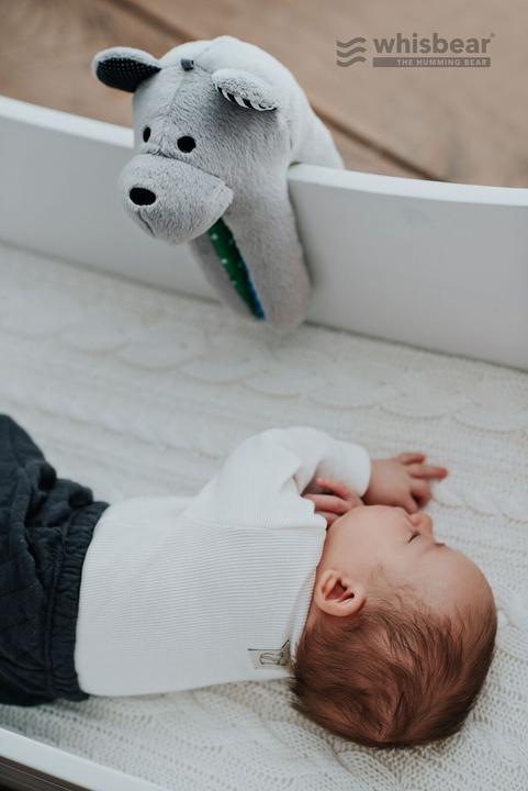 Actual product image Whisbear The Humming Bear (36 cm)