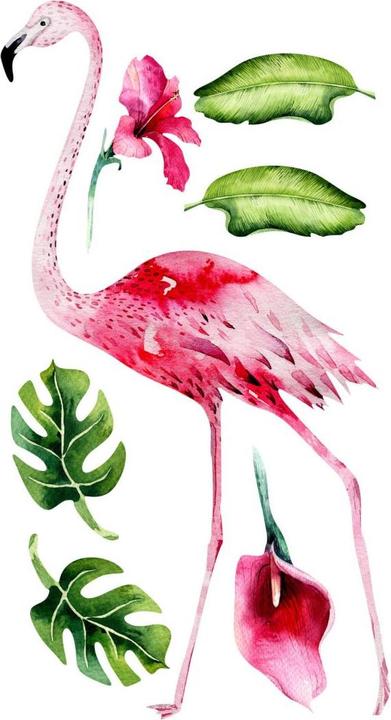 Produktbild Trenddeko Tropic Flamingo Set 01 (54 x 100 cm, 21 x 40 cm, 33 x 60 cm, 65 x 120 cm, 43 x 80 cm)