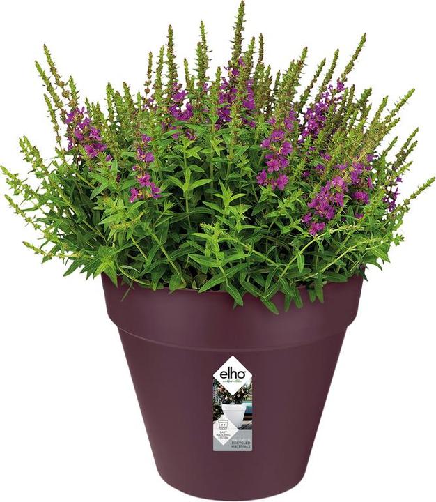 Image du produit Elho Loft Urbain (20 cm)