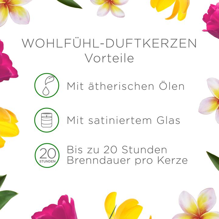 Actual product image Air Wick Flower meadow (105 g)